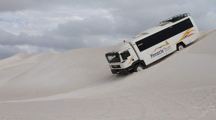 Pinnacles, Koalas, 4WD & Sandboarding Tour from Perth - Downhill Sandboarding: When the Fun Hits Fast