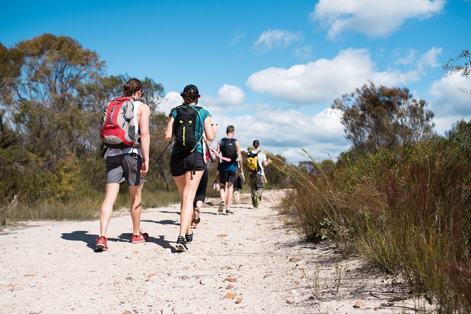 Pittwater Discovery Kayaking Tour - The Tide Factor: Exploring Salvation Creek at High Tide