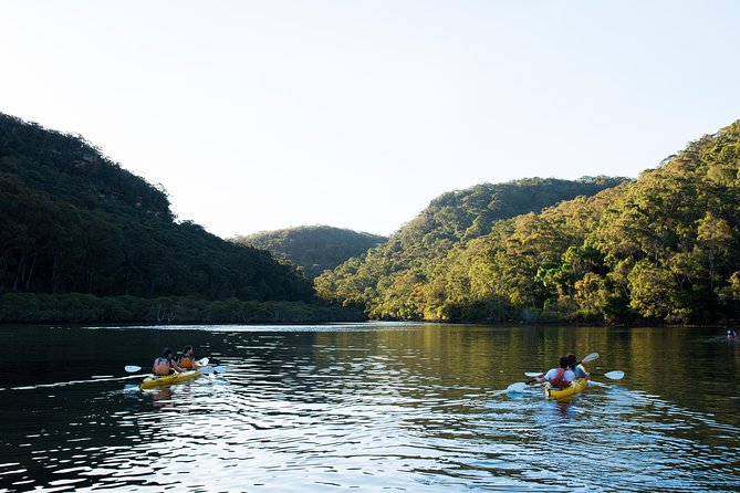 Pittwater Discovery Kayaking Tour - Scotland Island and the Northward Route: How the Estuary Teaches You to Look