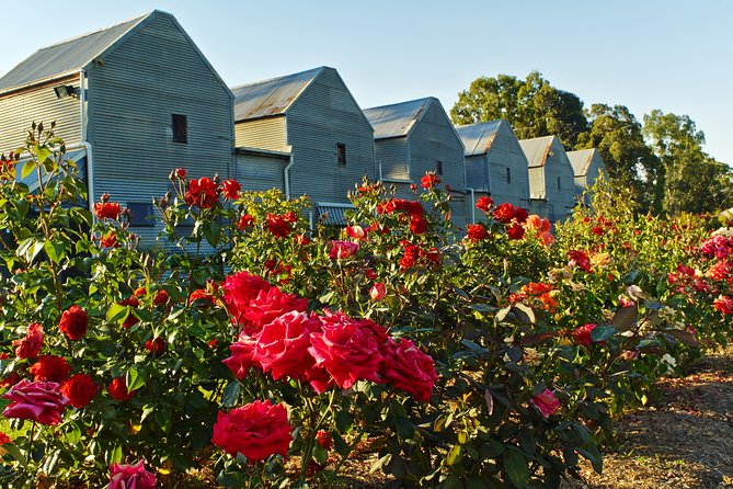 Pizzini Wines King Valley Esperienza - private wine tasting & grazing plate - Gardens, lawn space, and the family-friendly vibe