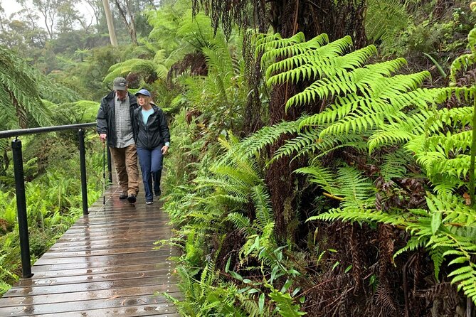PJ Blue Mountains Supreme [Private Charter] - Cahill’s Lookout and Sound of Silence: The Short Stop That Lands