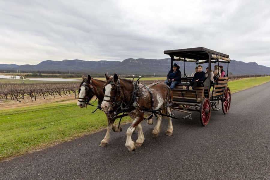 Pokolbin: Harvest the Hunter Horse Drawn Carriage Tour 3hrs - Key points that make this Pokolbin tour worth your time