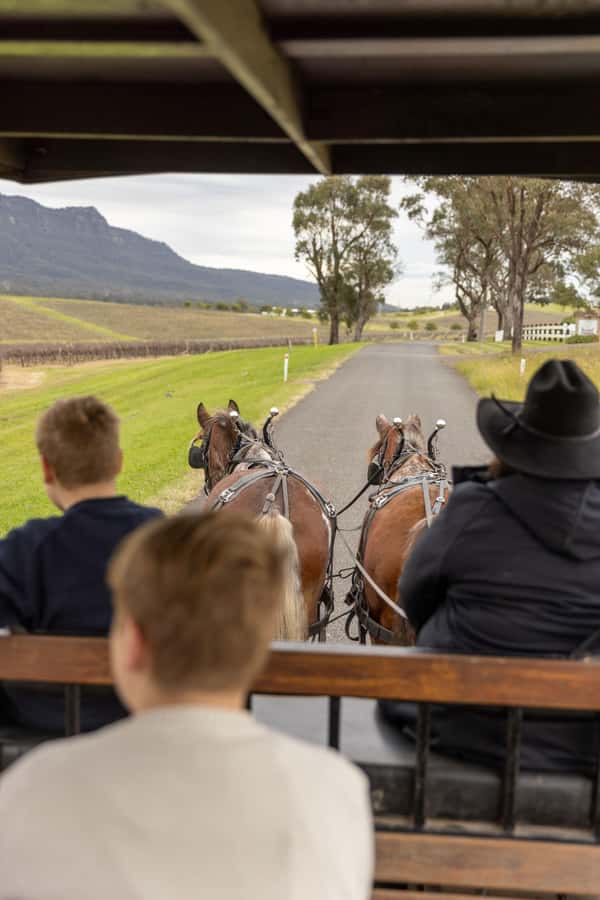 Pokolbin: Harvest the Hunter Horse Drawn Carriage Tour 3hrs - Why a horse-drawn carriage matches the Hunter Valley mood