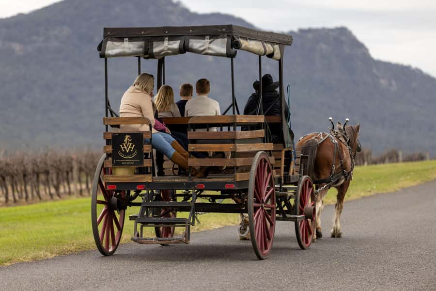 Pokolbin: Harvest the Hunter Horse Drawn Carriage Tour 3hrs - The 3-hour flow: how the day is paced (without feeling rushed)