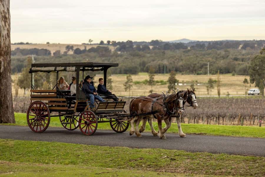 Pokolbin: Harvest the Hunter Horse Drawn Carriage Tour 3hrs - Meeting at Wine House Hunter Valley and actually finding the carriages