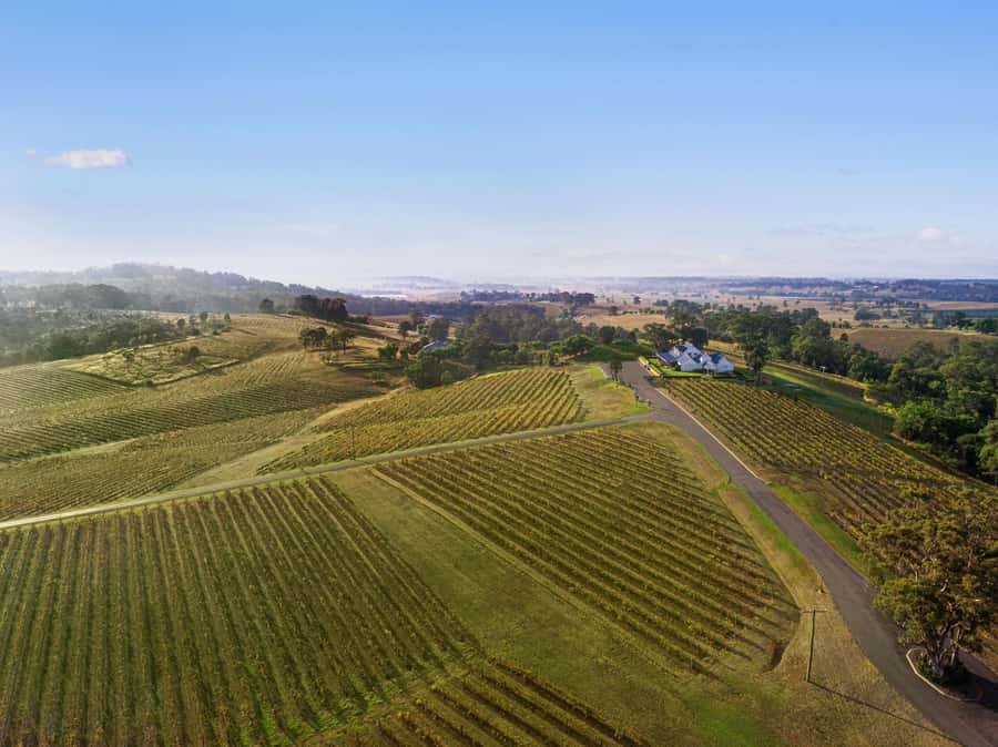 Pokolbin: Picnic & Wine Tasting at Audrey Wilkinson Vineyard - Cellar door + museum: learning that doesn’t feel like homework
