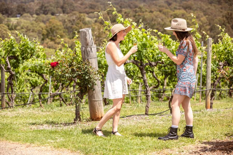 Pokolbin: Picnic & Wine Tasting at Audrey Wilkinson Vineyard - Who this suits best (and who should skip it)