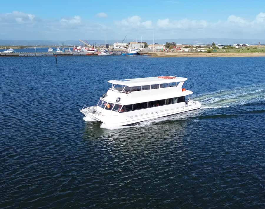 Port Adelaide: Dolphin and Maritime Cruise - Key highlights worth your attention