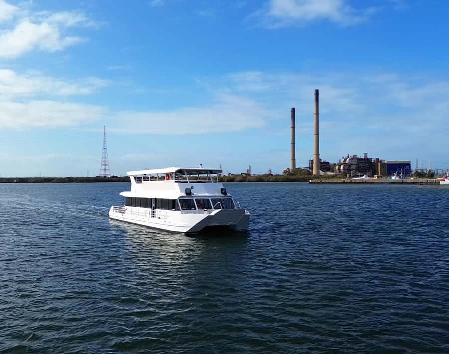 Port Adelaide: Dolphin and Maritime Cruise - What the skipper actually does (and why it matters)