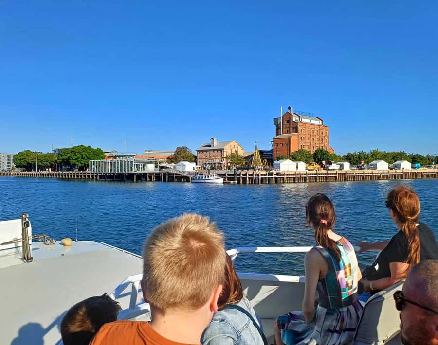 Port Adelaide: Dolphin and Maritime Cruise - Adelaide Dolphin Sanctuary: what you’re looking for