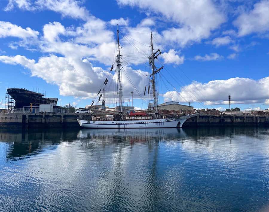Port Adelaide: Dolphin and Maritime Cruise - Working vessels, restored ships, and everyday port life