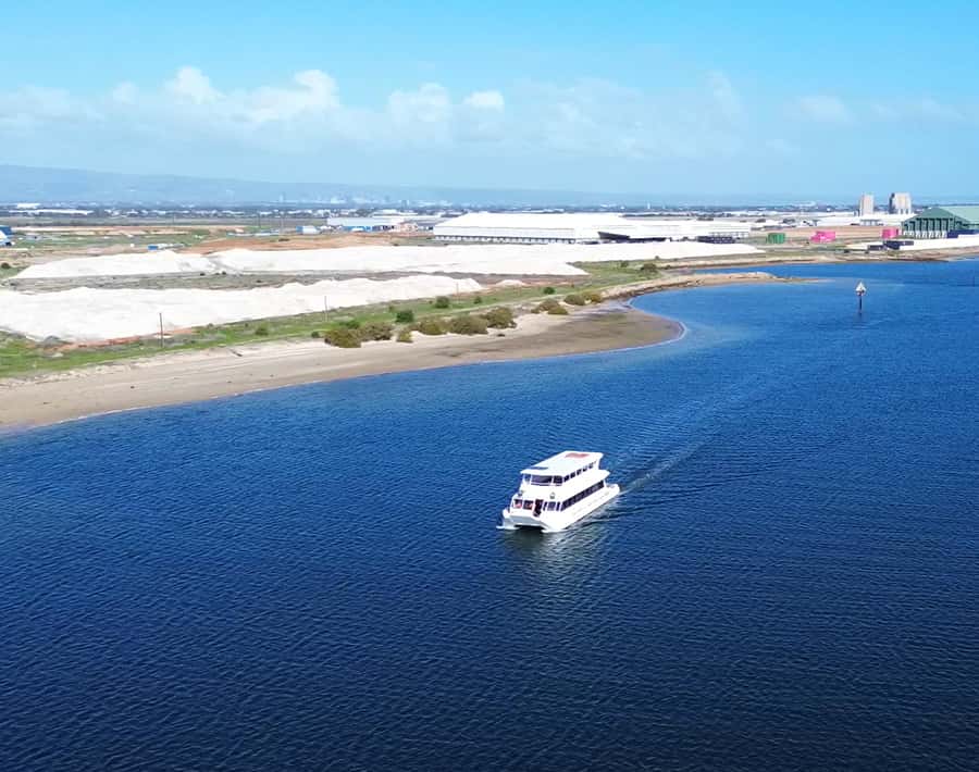 Port Adelaide: Dolphin and Maritime Cruise - What to wear and what rules keep things running smoothly