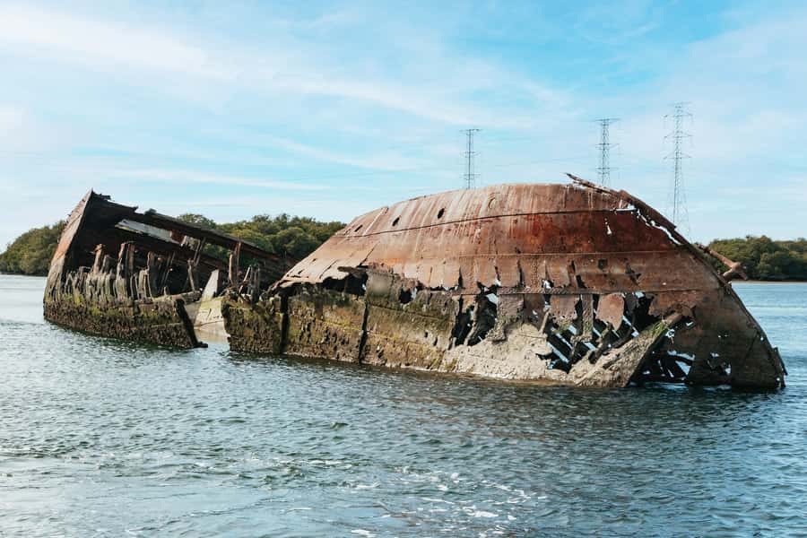 Port Adelaide: Dolphin and Ships Graveyard Cruise - Why this Port River cruise feels different from a typical sightseeing loop