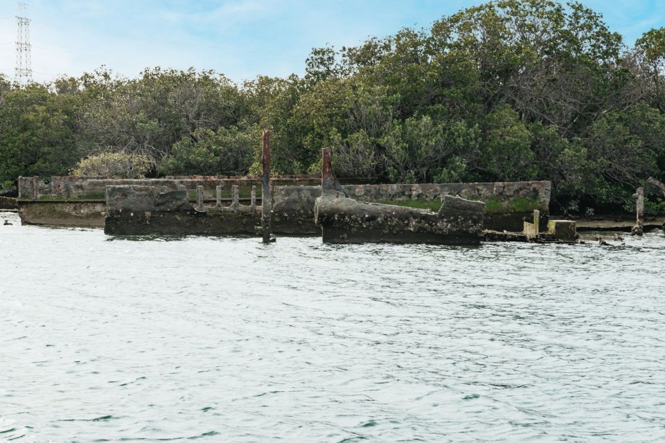Port Adelaide: Dolphin and Ships Graveyard Cruise - International Bird Sanctuary pass: pelicans, cormorants, and shorebirds