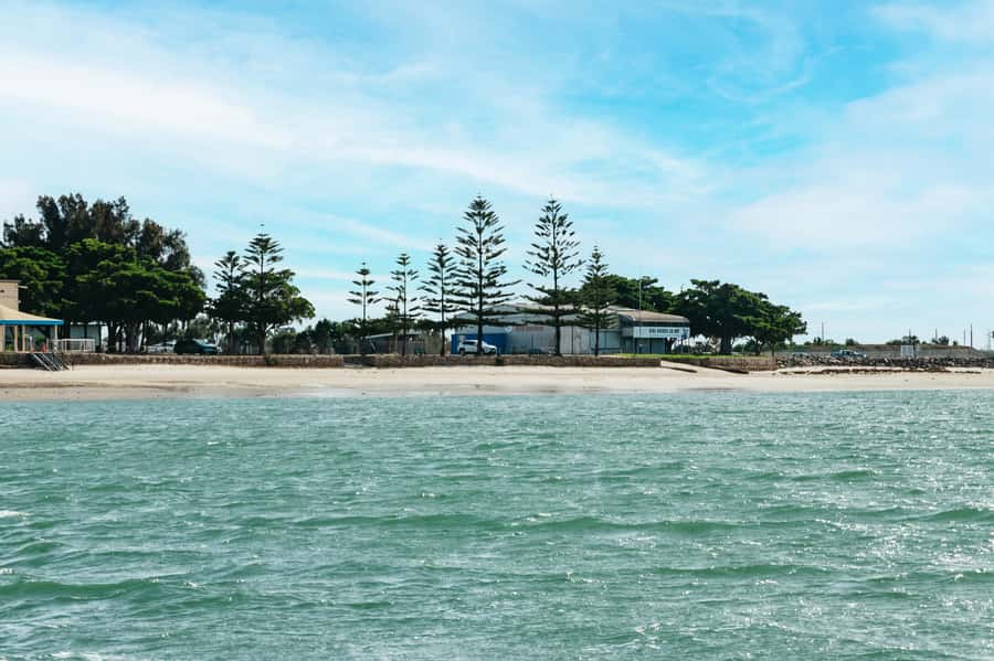Port Adelaide: Dolphin and Ships Graveyard Cruise - Price and value: is $62 for 90 minutes a good deal?