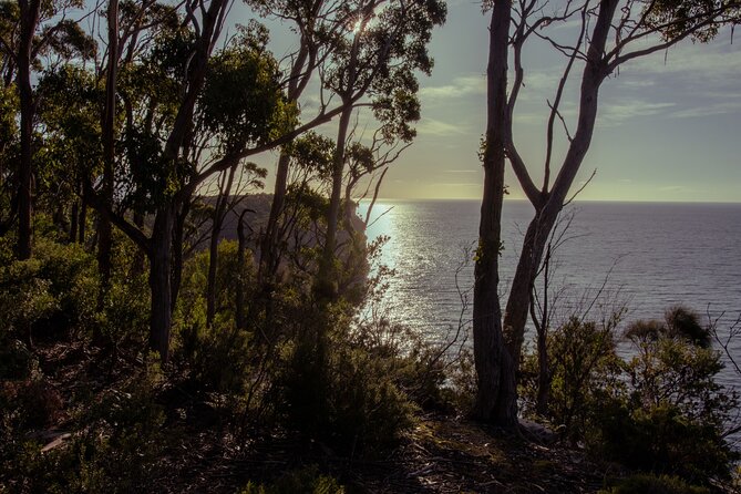 Port Arthur, Richmond and Lavender Active Day Tour - Price and Value: Why $121.93 Can Still Feel Fair