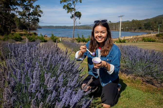 Port Arthur, Richmond and Lavender Active Day Tour - The Early Tasman Peninsula Run from Hobart (Start at 7:30 am)