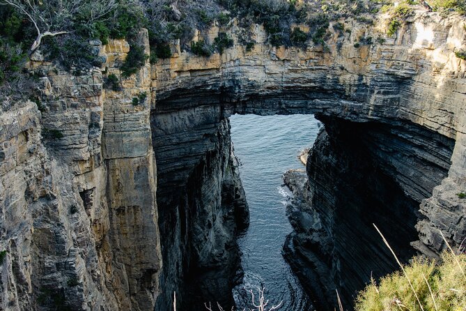 Port Arthur, Richmond and Tassie Devils Active Tour from Hobart - Key highlights to look forward to