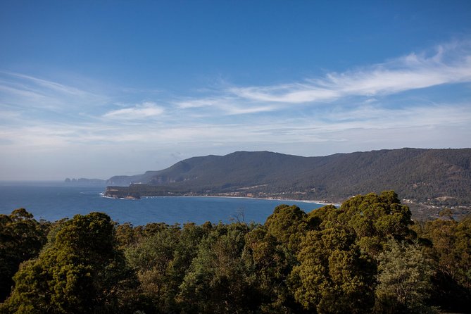 Port Arthur, Richmond and Tassie Devils Active Tour from Hobart - Waterfall Bay Clifftop Walk: easy hike, real ocean views