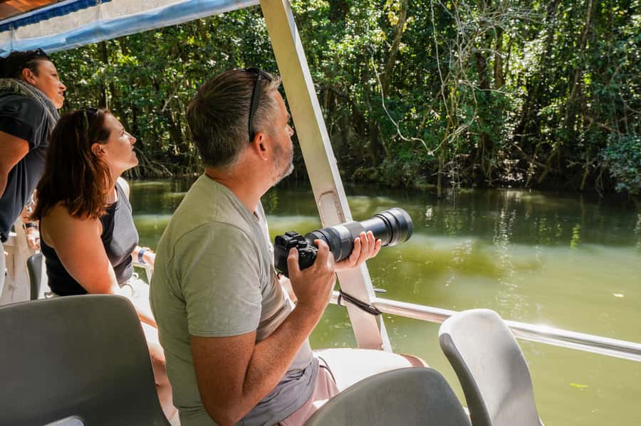 Port Douglas: Afternoon Daintree Tour w/ Wildlife Cruise - What to bring (and what to skip)
