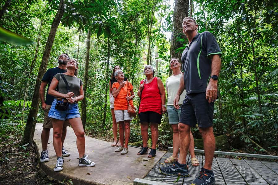 Port Douglas: Best of Daintree Rainforest Day Tour - Driving via Mossman cane fields: scenery with a point