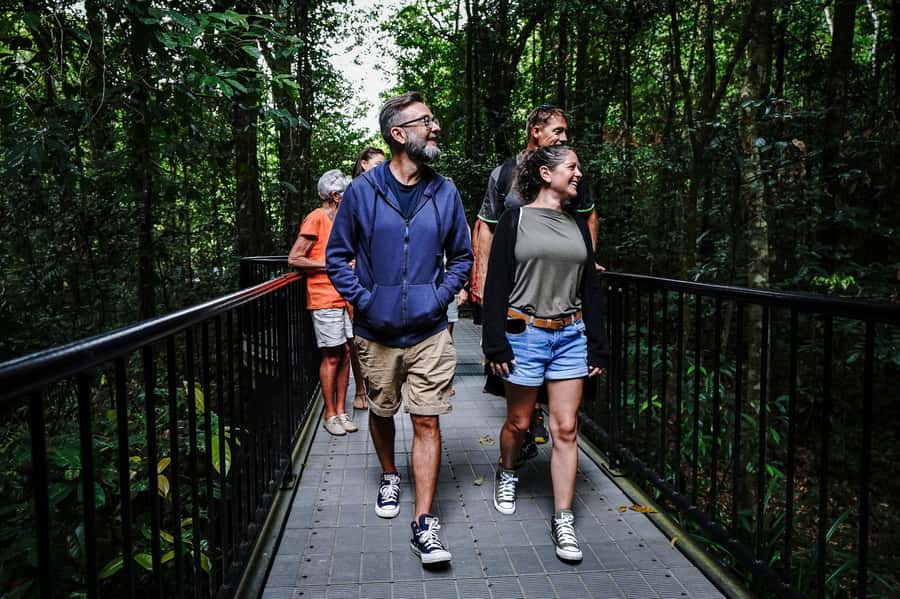 Port Douglas: Best of Daintree Rainforest Day Tour - Heritage Lodge lunch and Cooper Creek swim: the best kind of break