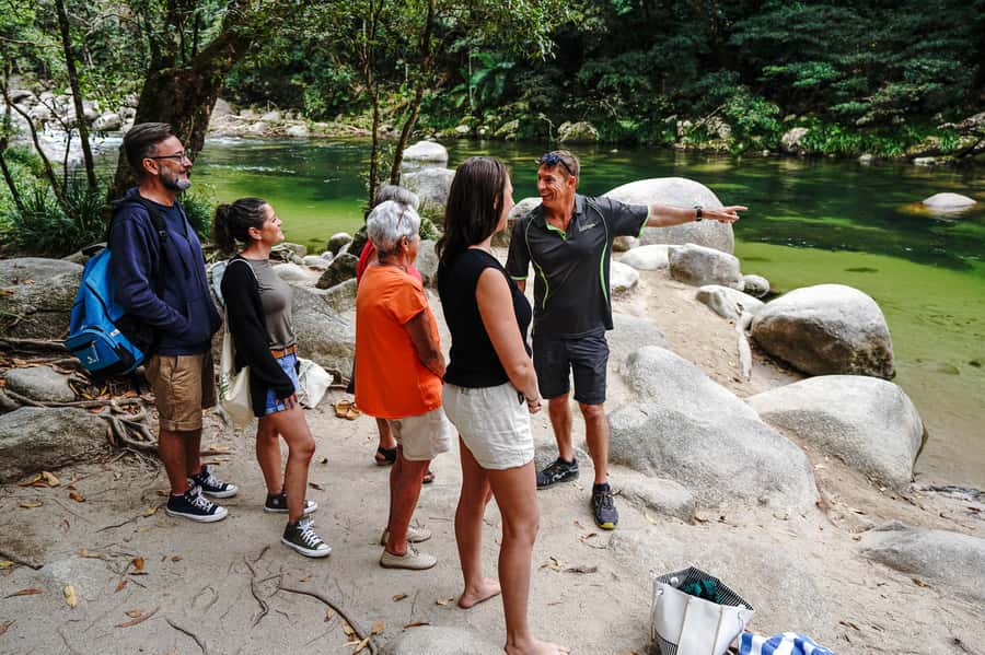 Port Douglas: Best of Daintree Rainforest Day Tour - Mossman Gorge National Park: a short walk, big rainforest payoff