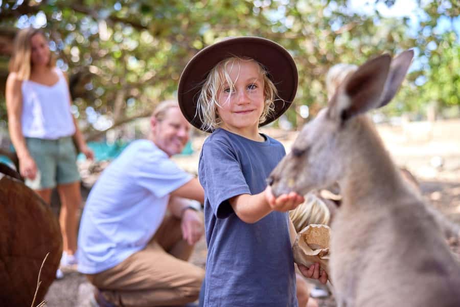 Port Douglas: Breakfast with the Birds - Breakfast with the Birds at Curlew Café: a 4-hour morning with wildlife nearby