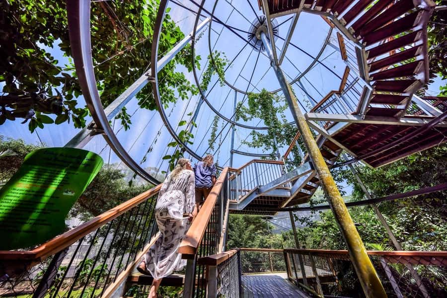 Port Douglas: Breakfast with the Birds - The 8–9 AM breakfast spread: table platters, local produce, and real comfort food