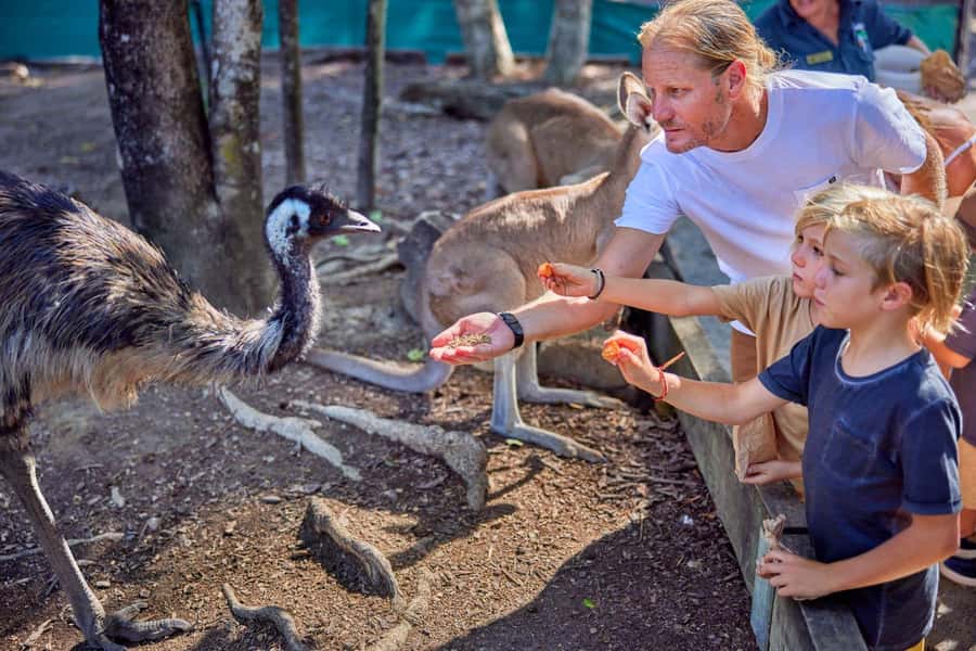 Port Douglas: Breakfast with the Birds - Check-in and how the day starts inside the Wetlands Habitat