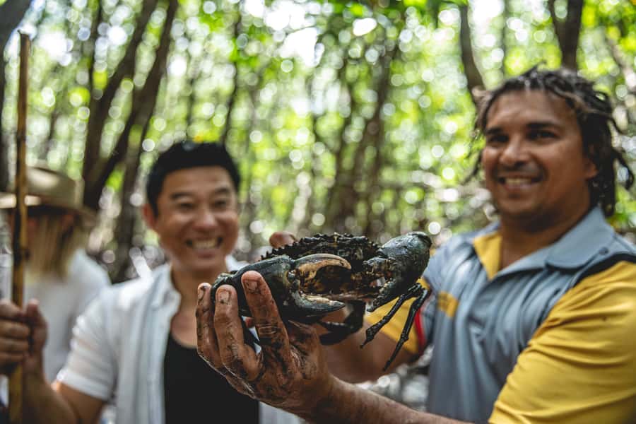 Port Douglas: Daintree Cultural Tour with Hotel Pickup - Coastal habitats: learning the environment by doing