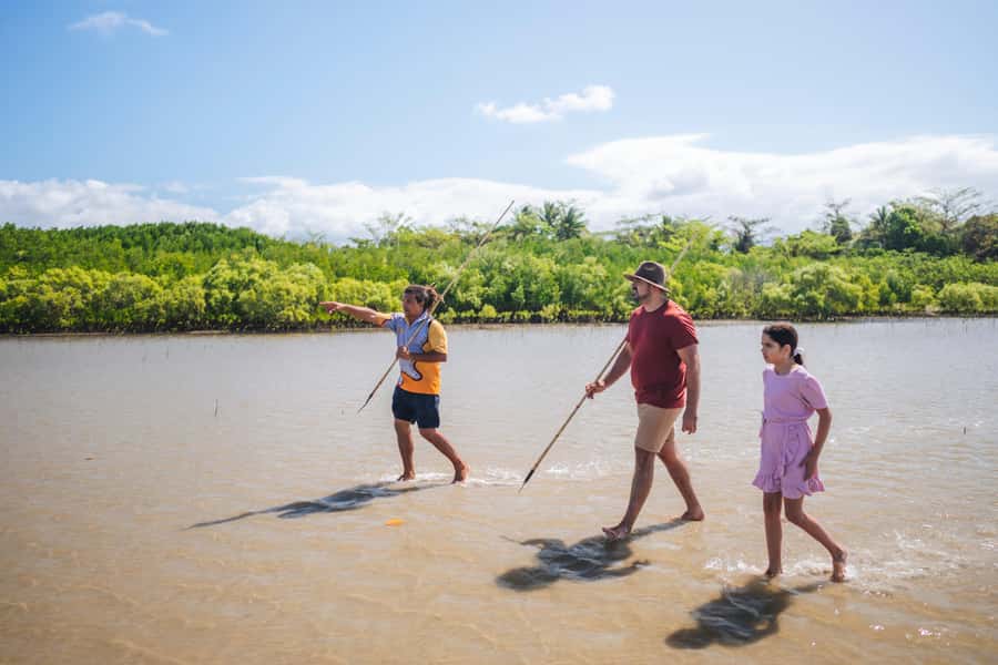Port Douglas: Daintree Cultural Tour with Hotel Pickup - Shellfish along the coast and handmade medicine knowledge