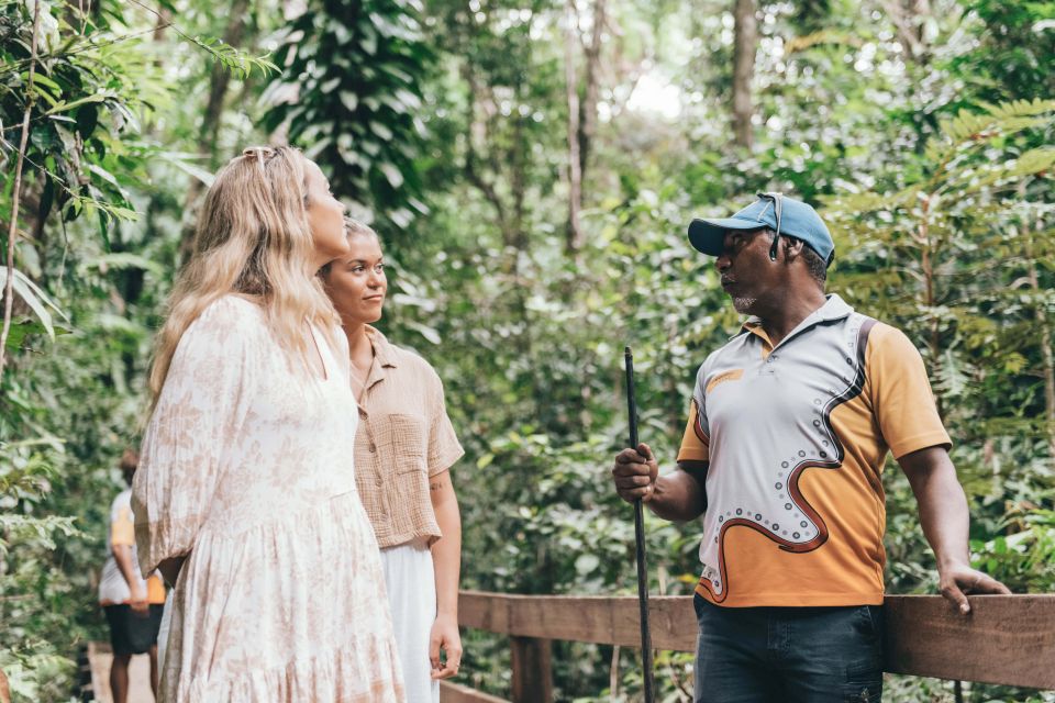 Port Douglas: Daintree Cultural Tour with Hotel Pickup - Price and value: what you get for about $134