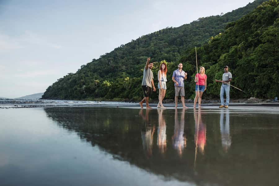 Port Douglas: Daintree Cultural Tour with Hotel Pickup - How the Kuku Yalanji guide shapes what you notice