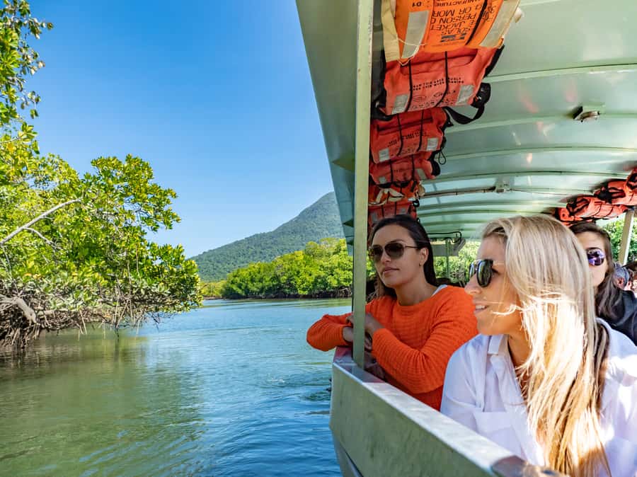 Port Douglas: Daintree National Park Tour, Cruise, & Zipline - A Port Douglas Day That Mixes Height, Water, and Beach