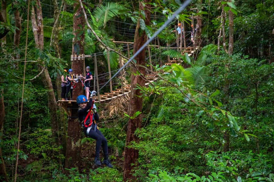 Port Douglas: Daintree National Park Tour, Cruise, & Zipline - Morning Pickup, the Ferry Crossing, and Alexandra Lookout
