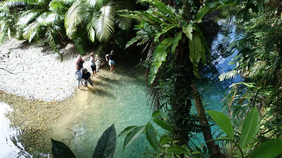 Port Douglas: Daintree Rainforest and Cape Tribulation Tour - Small-group luxury in Port Douglas: how it sets up a great day