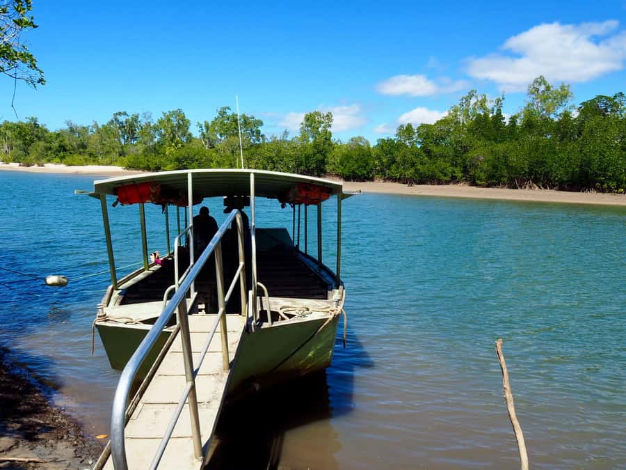Port Douglas: Daintree Rainforest and Cape Tribulation Tour - Alexanda Lookout and Cape Tribulation: scenery that breaks up the green