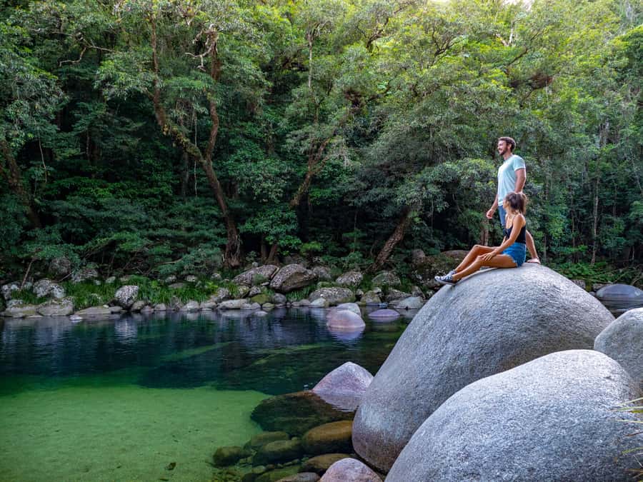 Port Douglas: Daintree Rainforest and Cape Tribulation Tour - Daintree National Park walks: what you’re actually doing on the ground