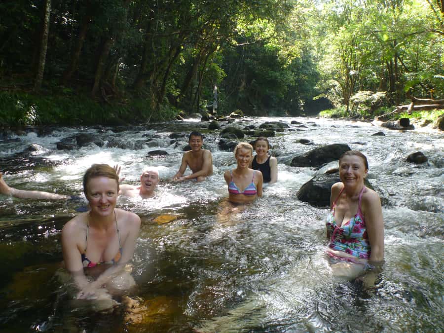 Port Douglas: Daintree Rainforest and Mossman Gorge Tour - Who this tour suits (and who should look elsewhere)