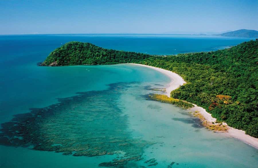 Port Douglas: Daintree Rainforest and Mossman Gorge Tour - The Daintree River wildlife cruise: crocs, birds, and that slow, patient pace