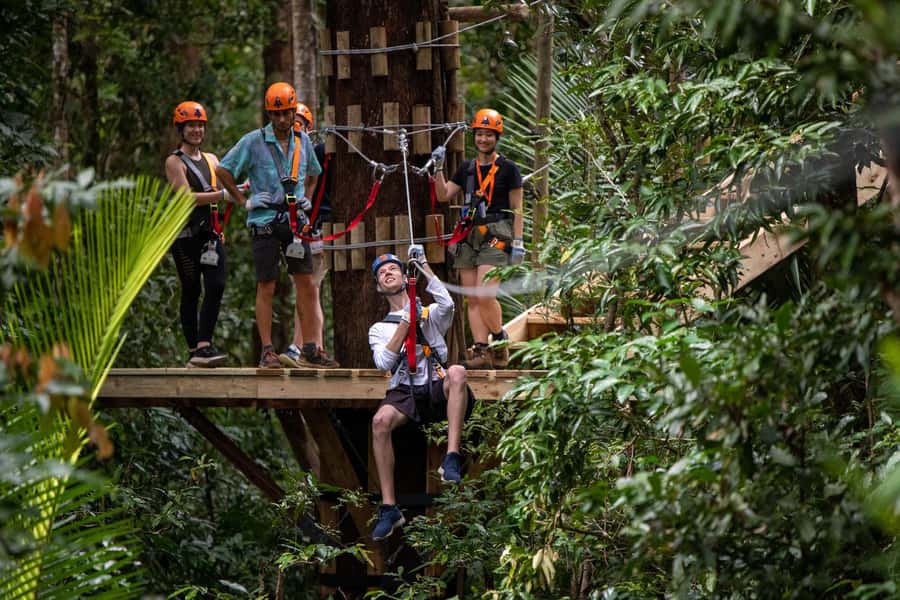 Port Douglas: Daintree Rainforest Canopy Ziplining Tour - Getting to Cape Tribulation and Finding Treetops Adventure