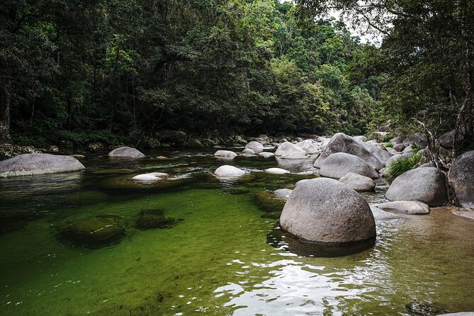 Port Douglas & Daintree Tour for Cruise Ship Passenger - Price and value: what you’re really paying for