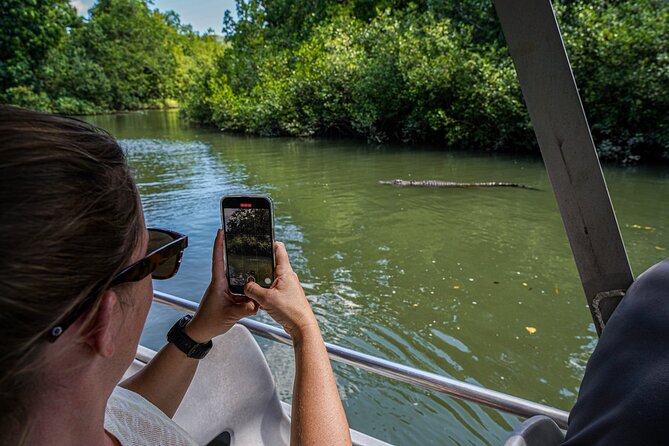 Port Douglas & Daintree Tour for Cruise Ship Passenger - Who this tour suits best (and who should choose differently)