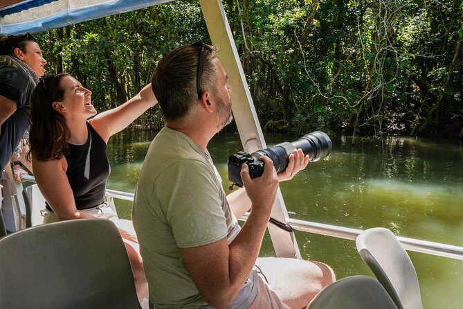 Port Douglas & Daintree Tour for Cruise Ship Passenger - What can affect your day (so you don’t get surprised)