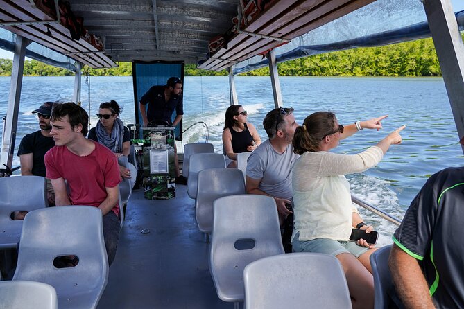 Port Douglas & Daintree Tour for Cruise Ship Passenger - Mossman Gorge Cultural Centre: rainforest walk with real context