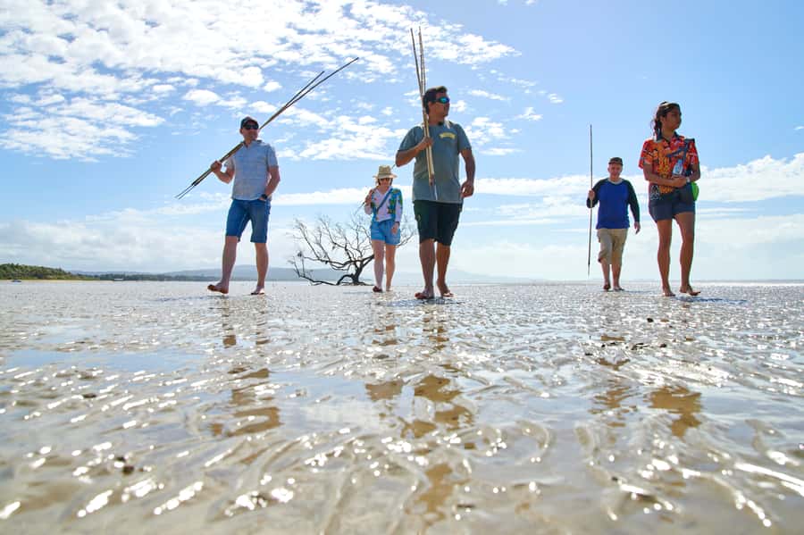 Port Douglas: Full Day Daintree Cultural Tour with Lunch - Who should book this Daintree cultural tour from Port Douglas