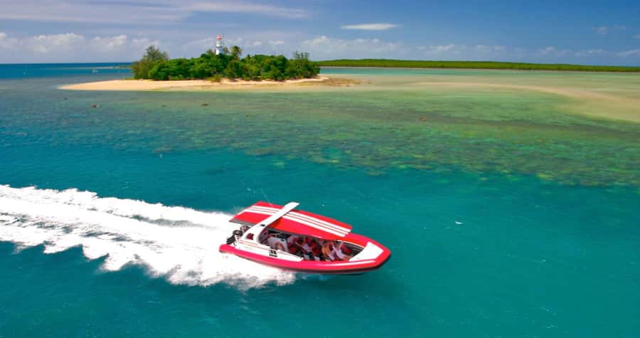 Port Douglas: Half-Day Low Island and Lagoon Snorkeling Tour - Key things to know before you go
