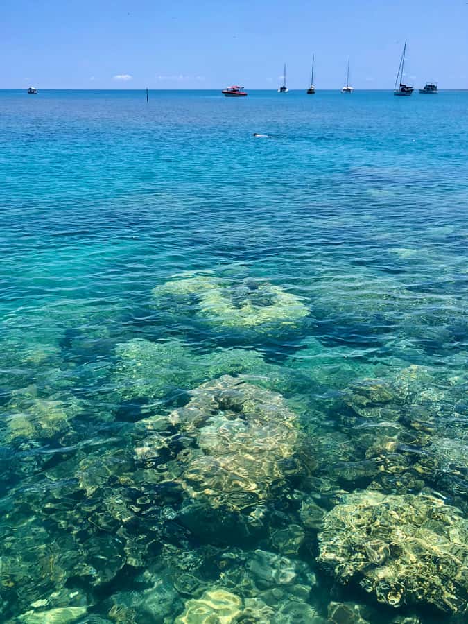 Port Douglas: Half-Day Low Island and Lagoon Snorkeling Tour - The island time plan: relax, snorkel again, or join a guided walk