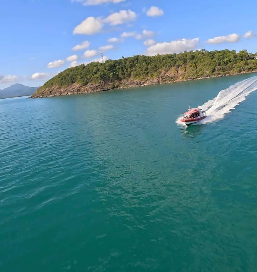 Port Douglas: Half Day Outer Reef Snorkelling Tour - Key highlights at a glance